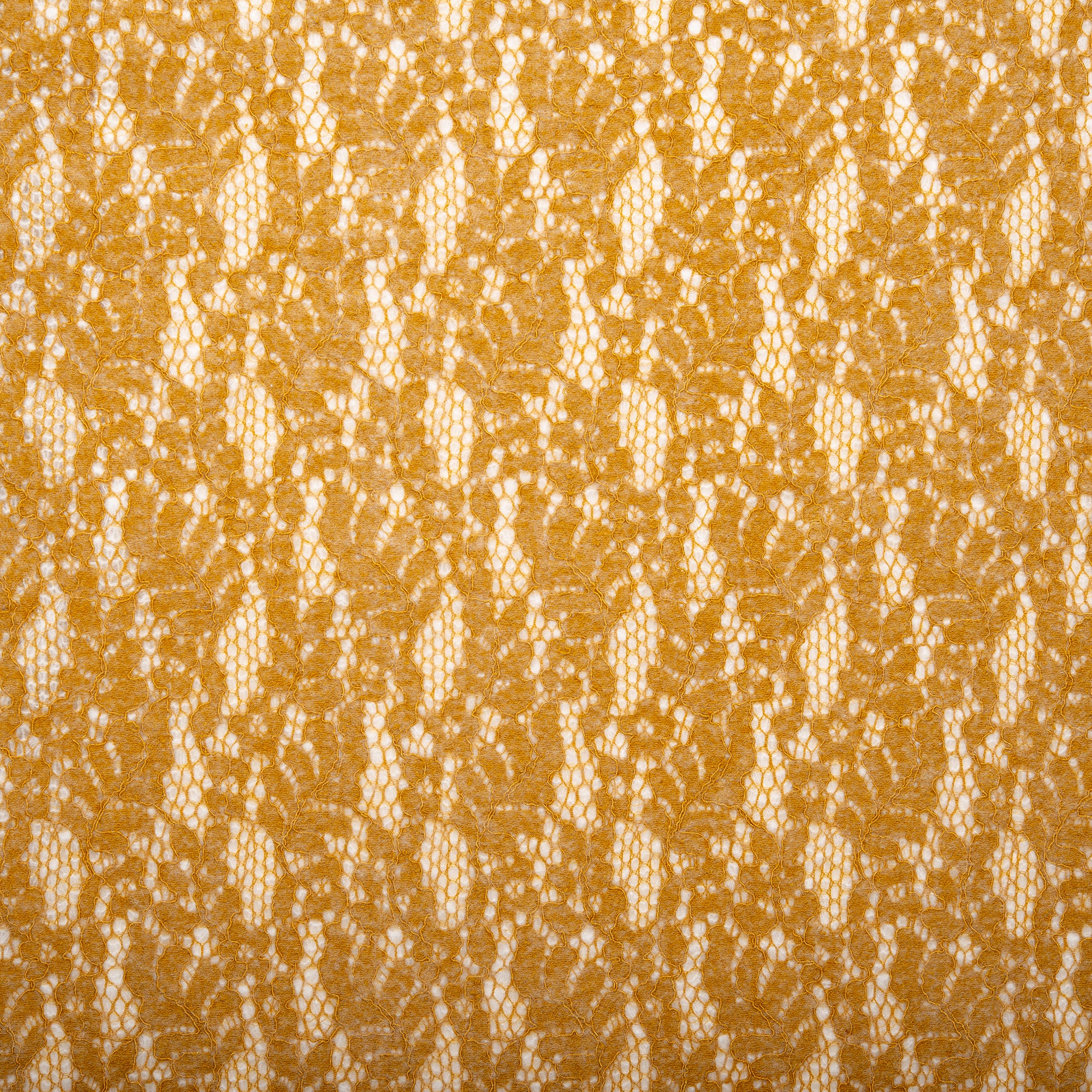 Brushed Lace - CAROLINA - Goldenrod