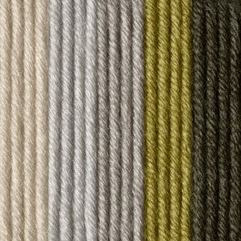 CARON PANTONE 3 - 100G - Image 14
