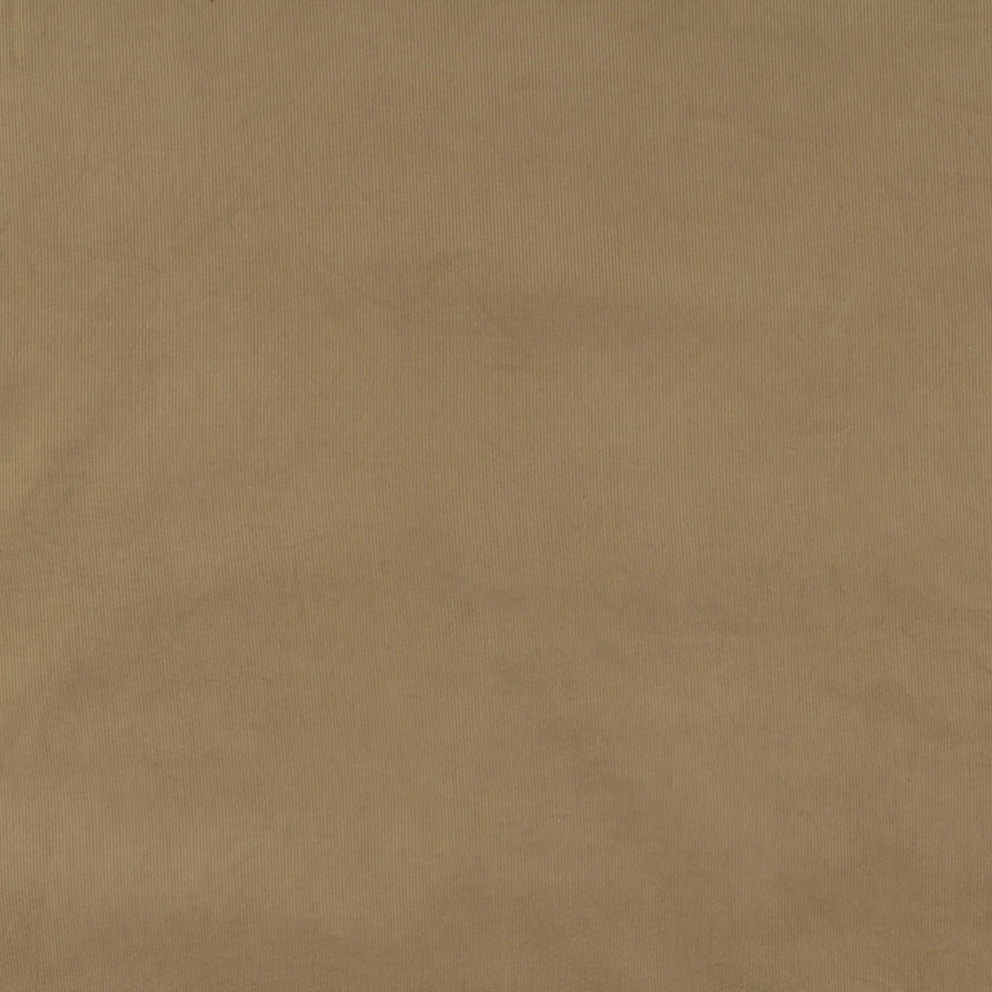 Corduroy - NOMAD - 011 - Taupe