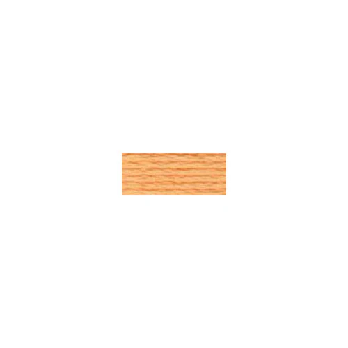 DMC #117 - Six Strand Embroidery Floss - 3825 - Image 2