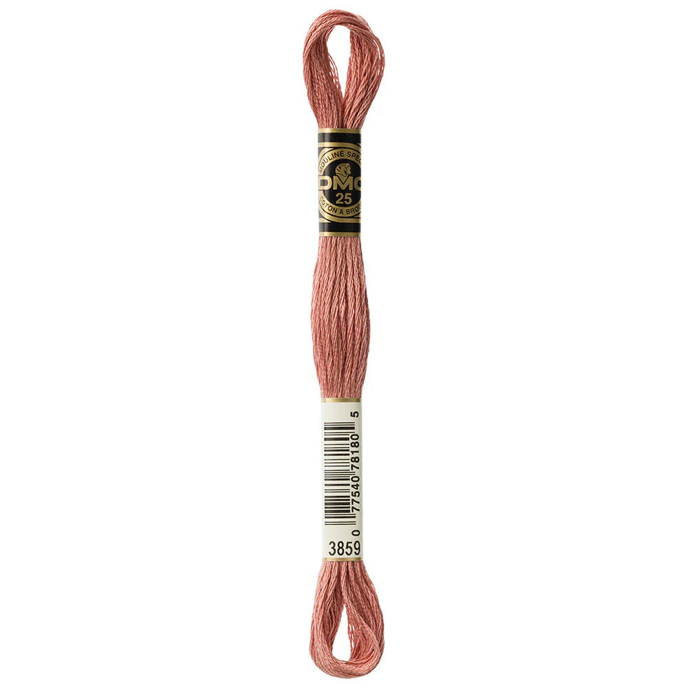 DMC #117 - Six Strand Embroidery Floss - 3859