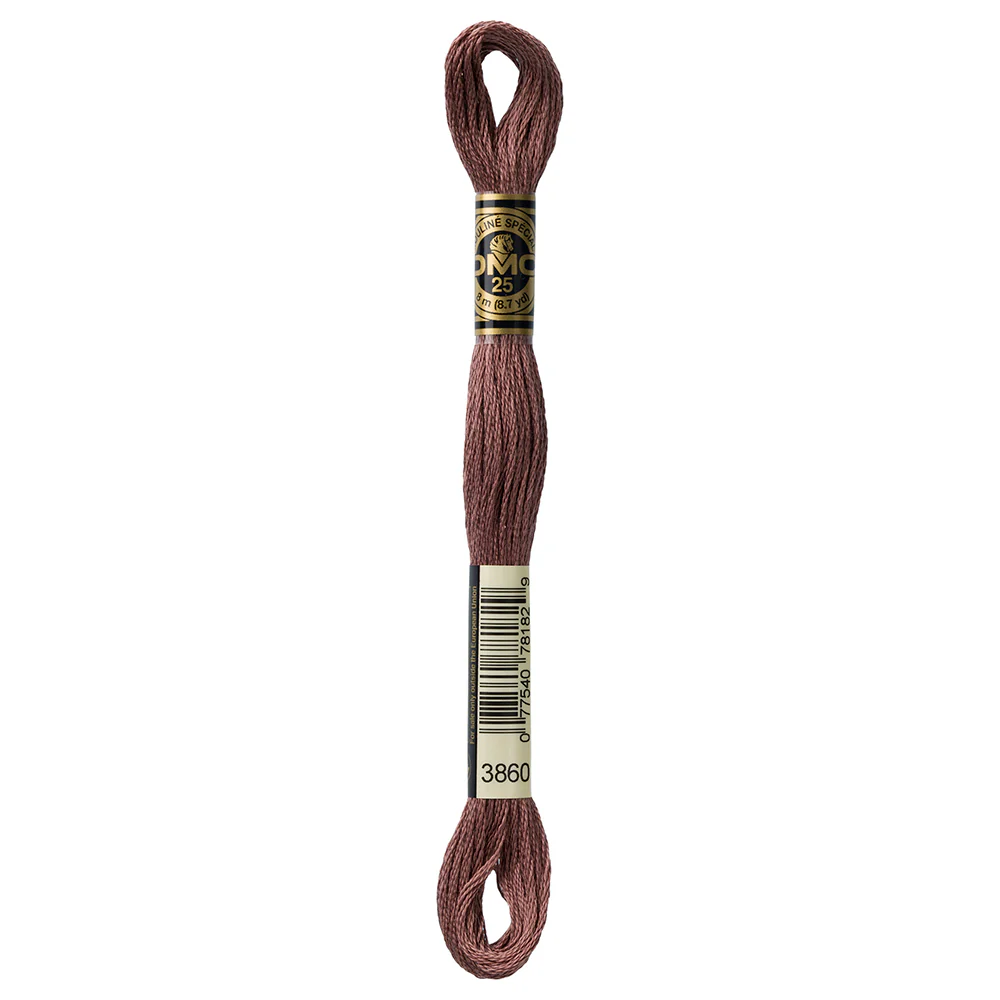 DMC #117 - Six Strand Embroidery Floss - 3860