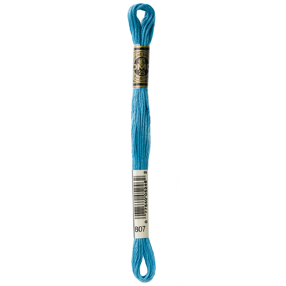 DMC #117 - Six Strand Embroidery Floss - 807