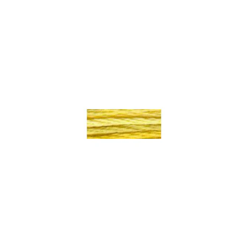 DMC #417F - Colour Variations Floss -  4075