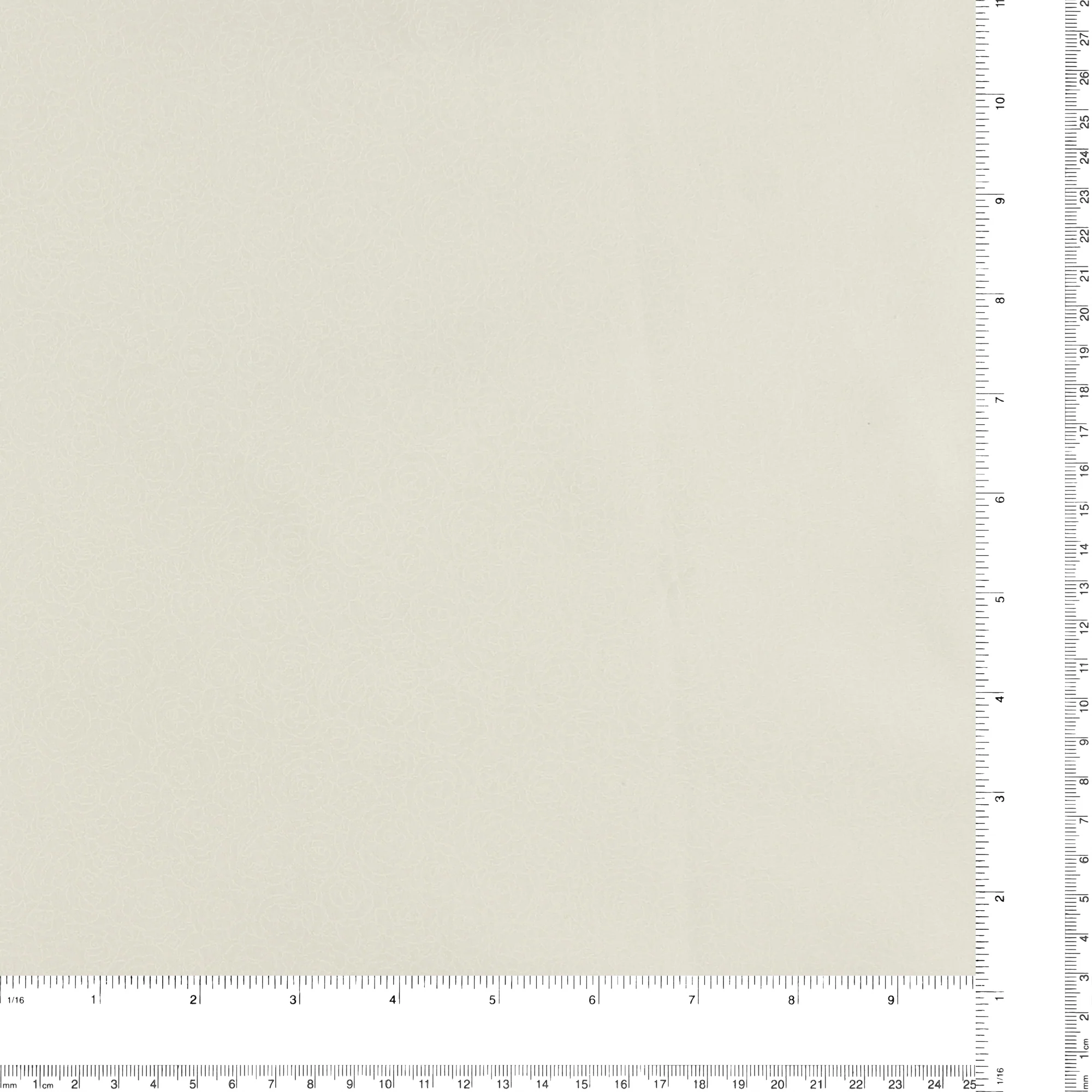 Lacquer print - DAISY MAY - Rosebud - 125 - White - Image 3