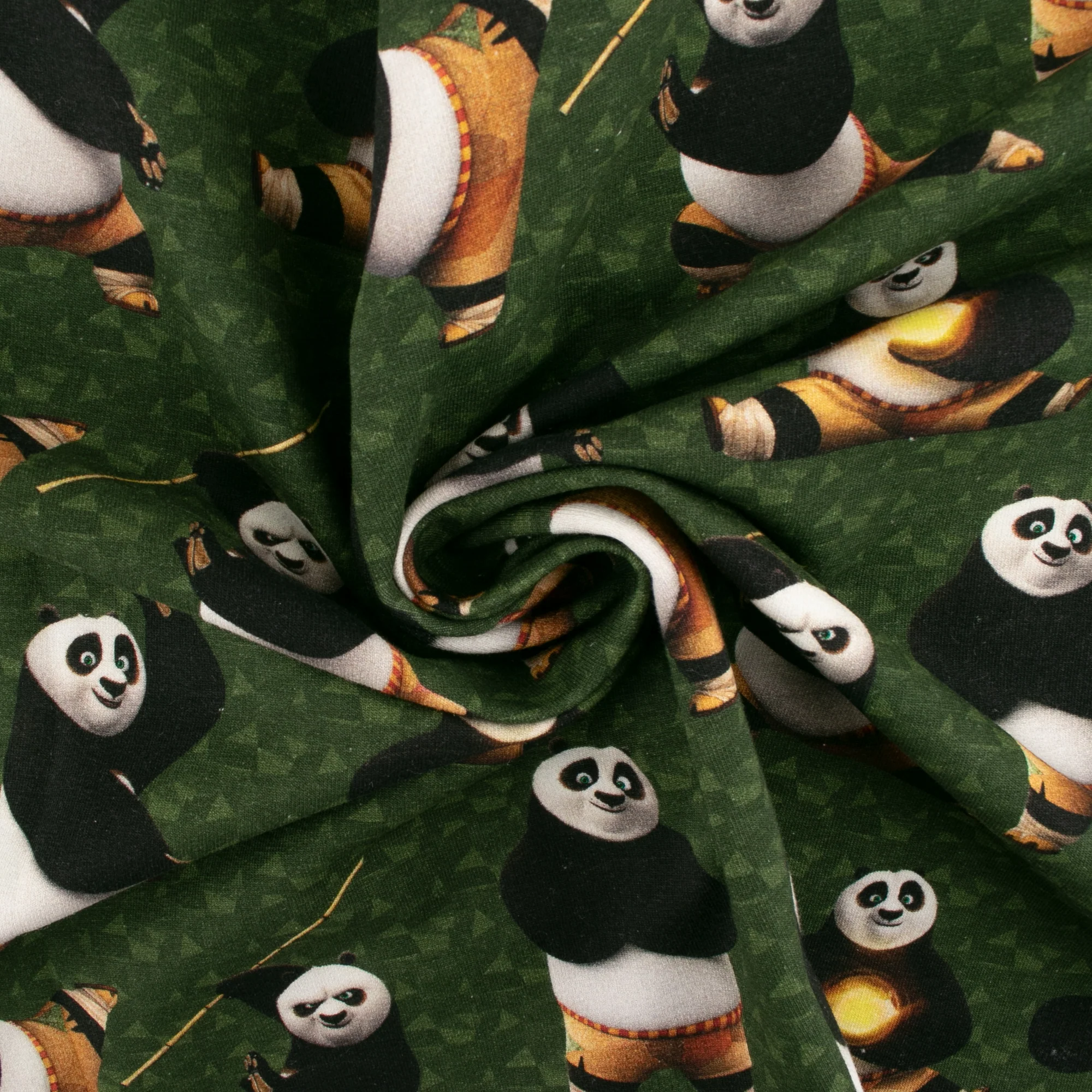Printed Sweatshirt Fleece - FANTASMIC - Kanfu Panda - Green - Image 2