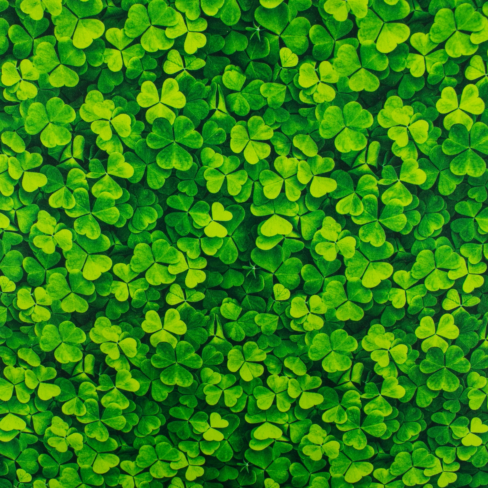 SAINT PATRICK Cotton print - Clovers - Black / Green