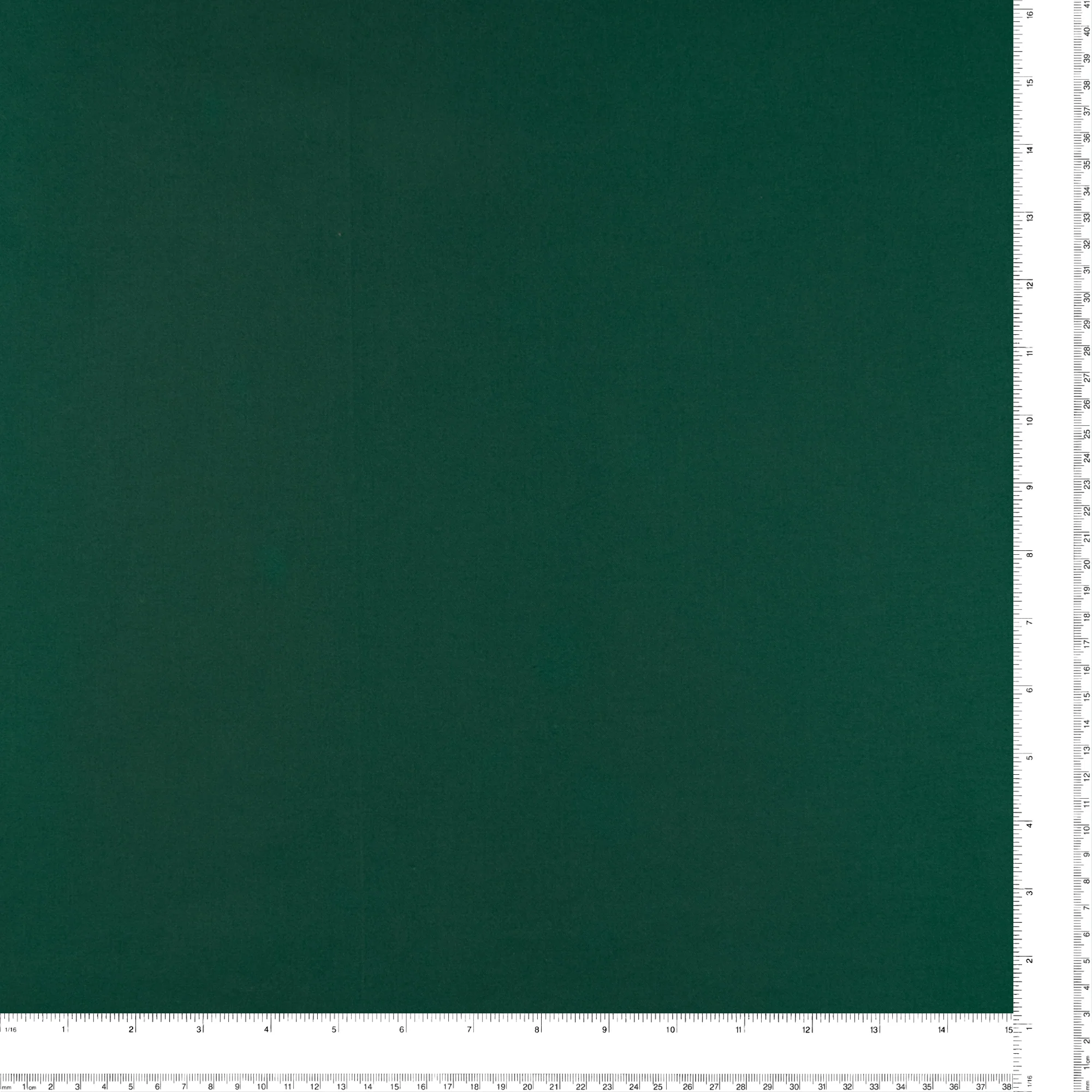 SUPREME Cotton Solid - Spruce - Image 3